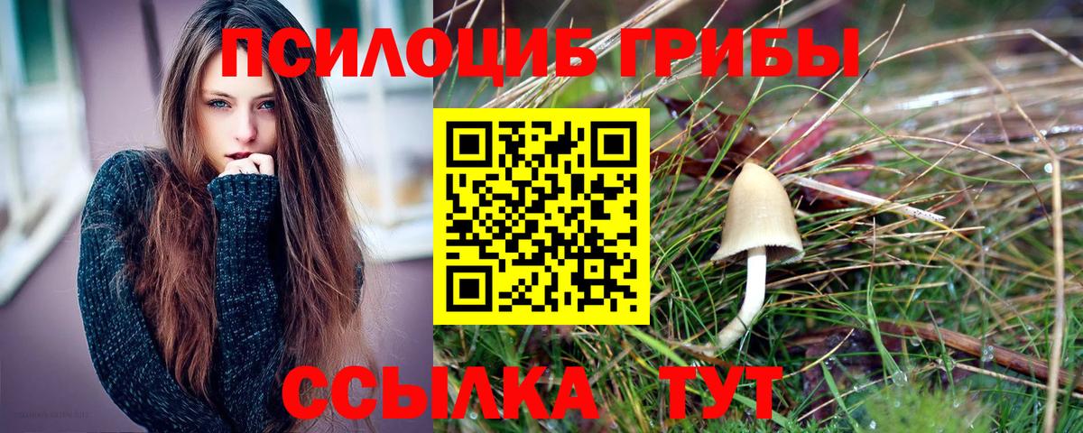 Иваново  Псилоцибиновые грибы Psilocybe  Вход с VPN 